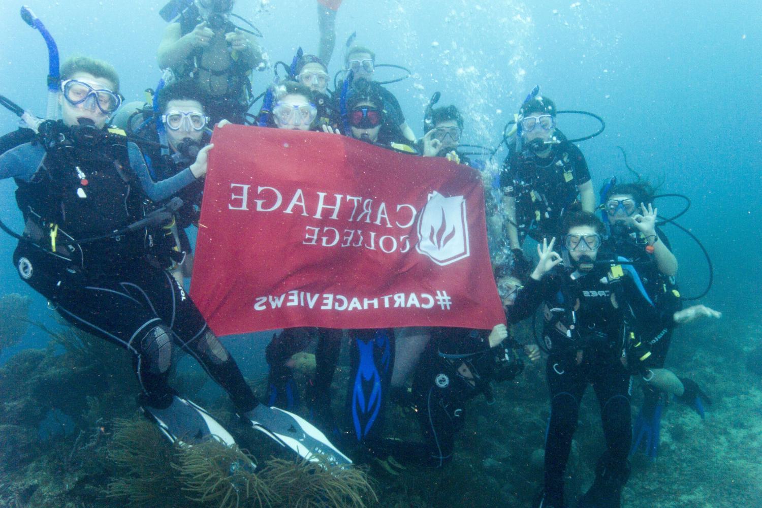 学生们手持<a href='http://0ao3ty.dbcp999.com'>bv伟德ios下载</a>旗帜，在j学期洪都拉斯游学之旅中潜水.